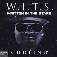 W.I.T.S. (Written in the Stars)